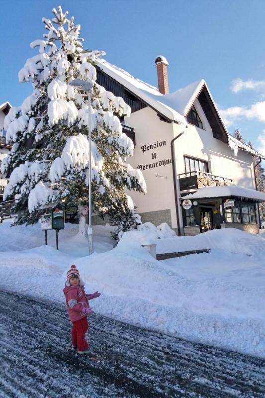 U Bernardyna Hotel Harrachov Exterior photo